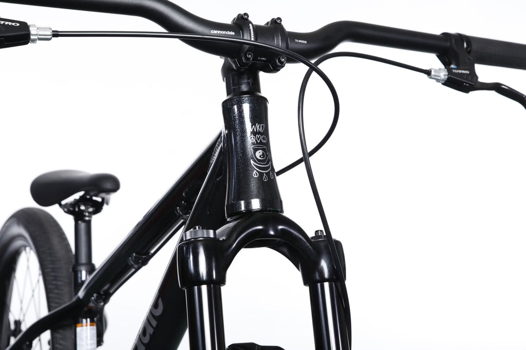 Cannondale Dave Dirt Bike Single Speed 26'' OS - Black Magic