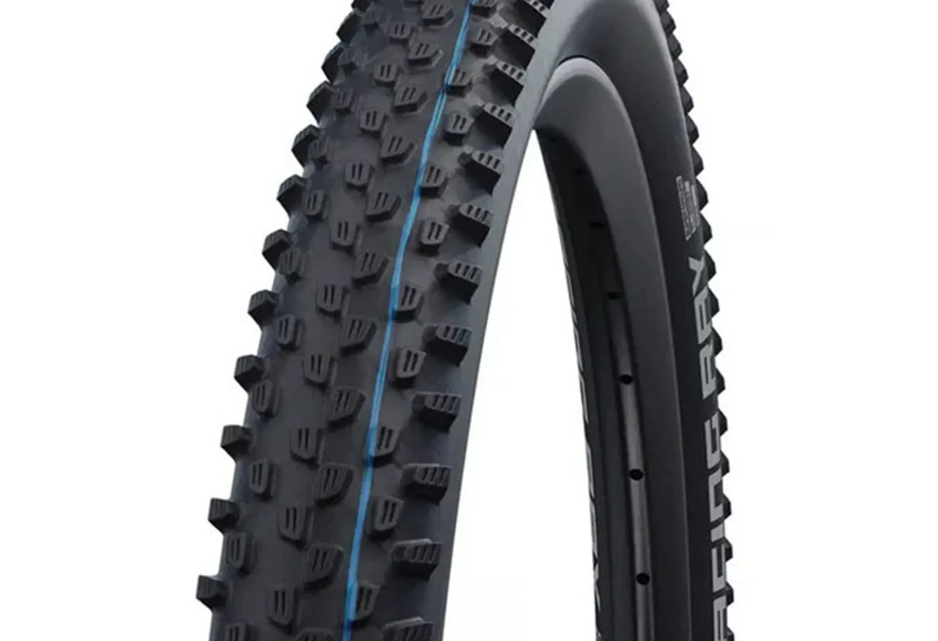 Schwalbe Racing Ray Evo Snakeskin TLE Compound Addix Speedgrip